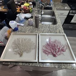 Z Gallerie Sea Fan Shadowbox Wall Art – Red & Gold – 19.5” Set of 2