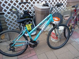 Schwinn mirada bike