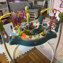 Fisher Price Baby Bouncer