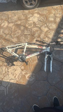 Specialized Mountain Bike Frame with Fork
