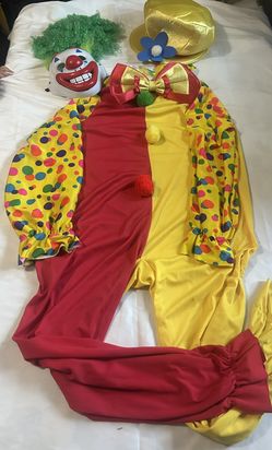 Adult clown costume