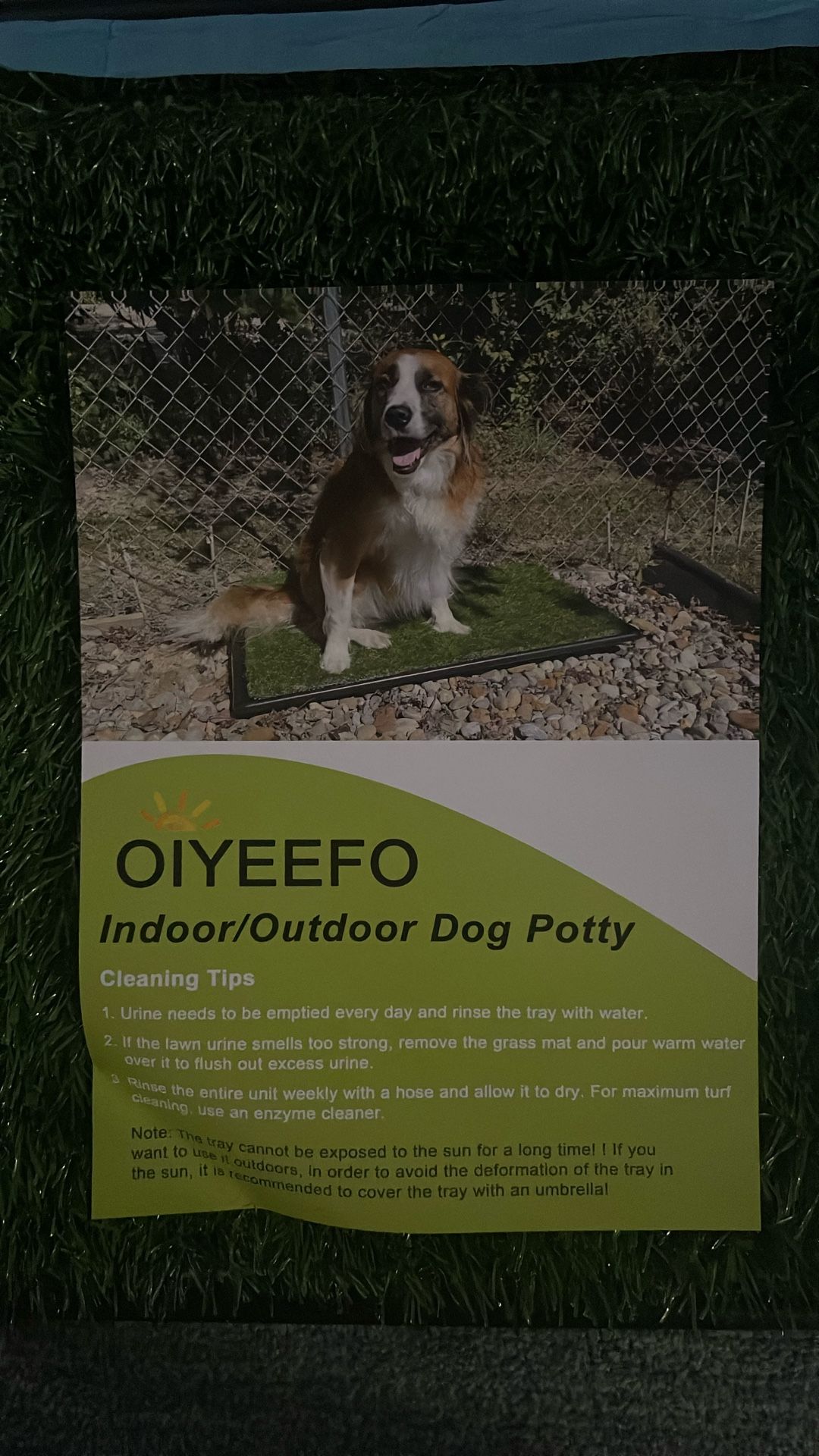 Pet Indoor Potty