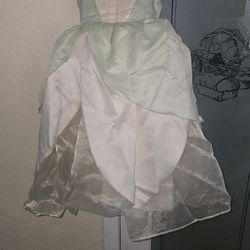 Princess Tiana Dress And Shoes