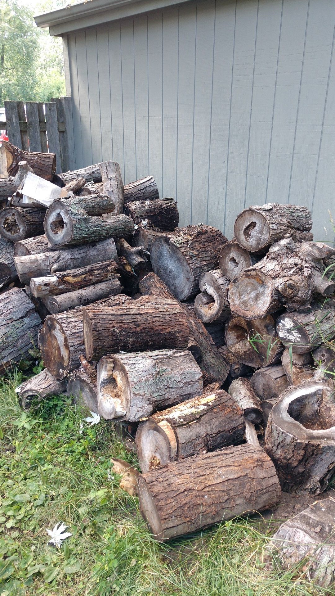 Free firewood