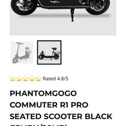 Seated Scrooter