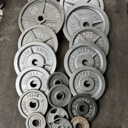 Gym Weights Bars Weight Bench 