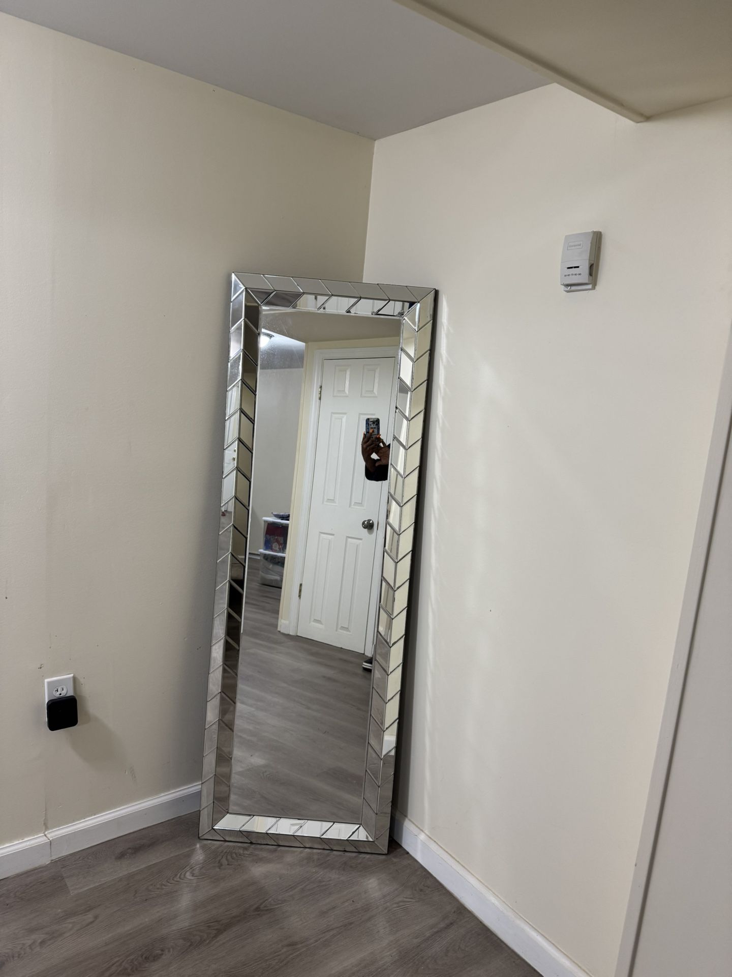Full length mirror 67 x 20