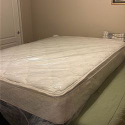 Box Spring And Sealy Mattresses 