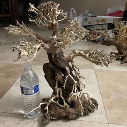 XL Bonsai Driftwood | Aquarium Fish tank