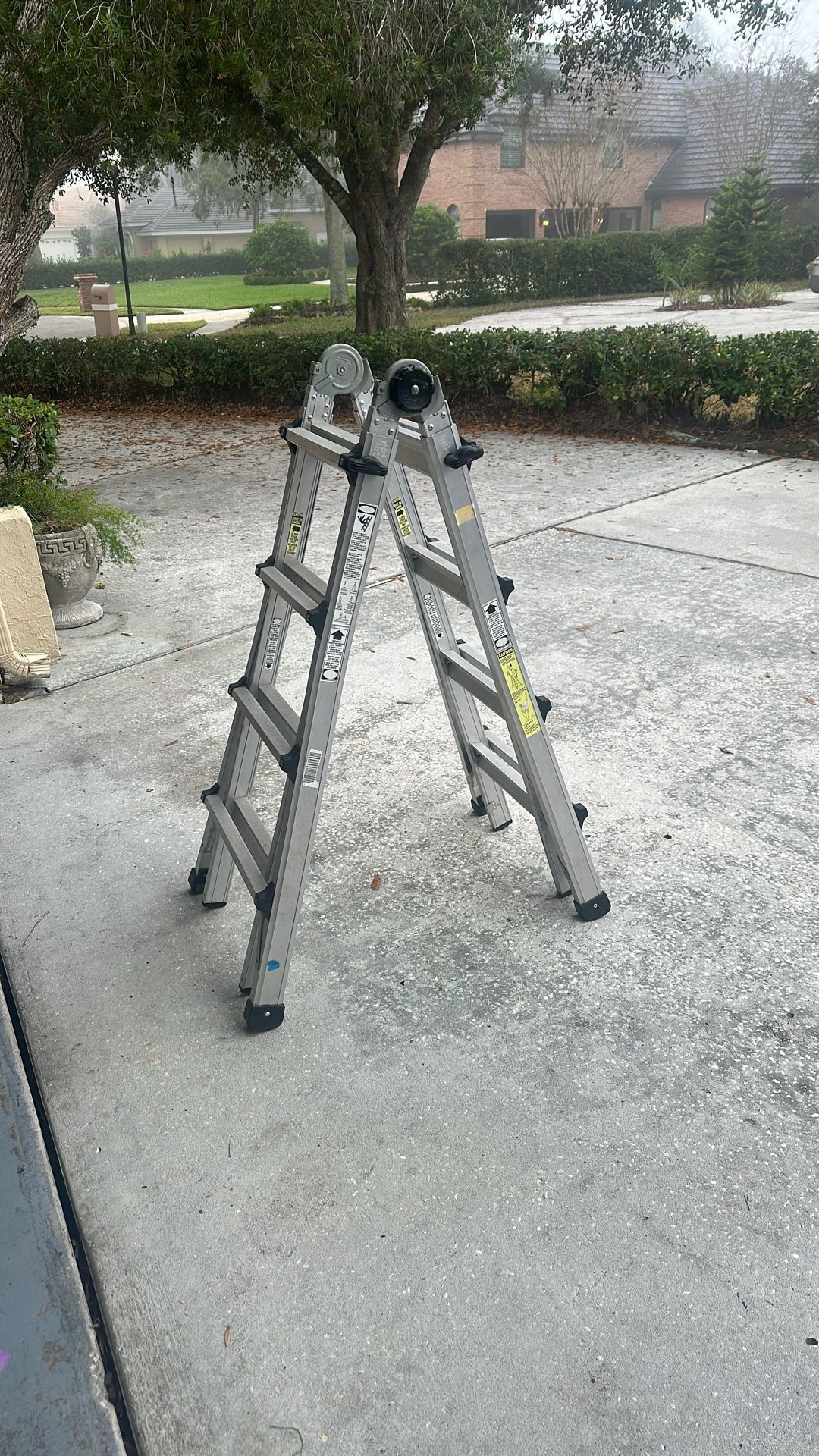 Cosco Adjustable Ladder