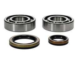 All Balls Racing 24-1129 Crankshaft Bearing & Seal Kit
