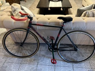 Lager Single Speed Bike