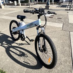 Ecotric Seagull Electric Mountain Bicycle 48v 1000w