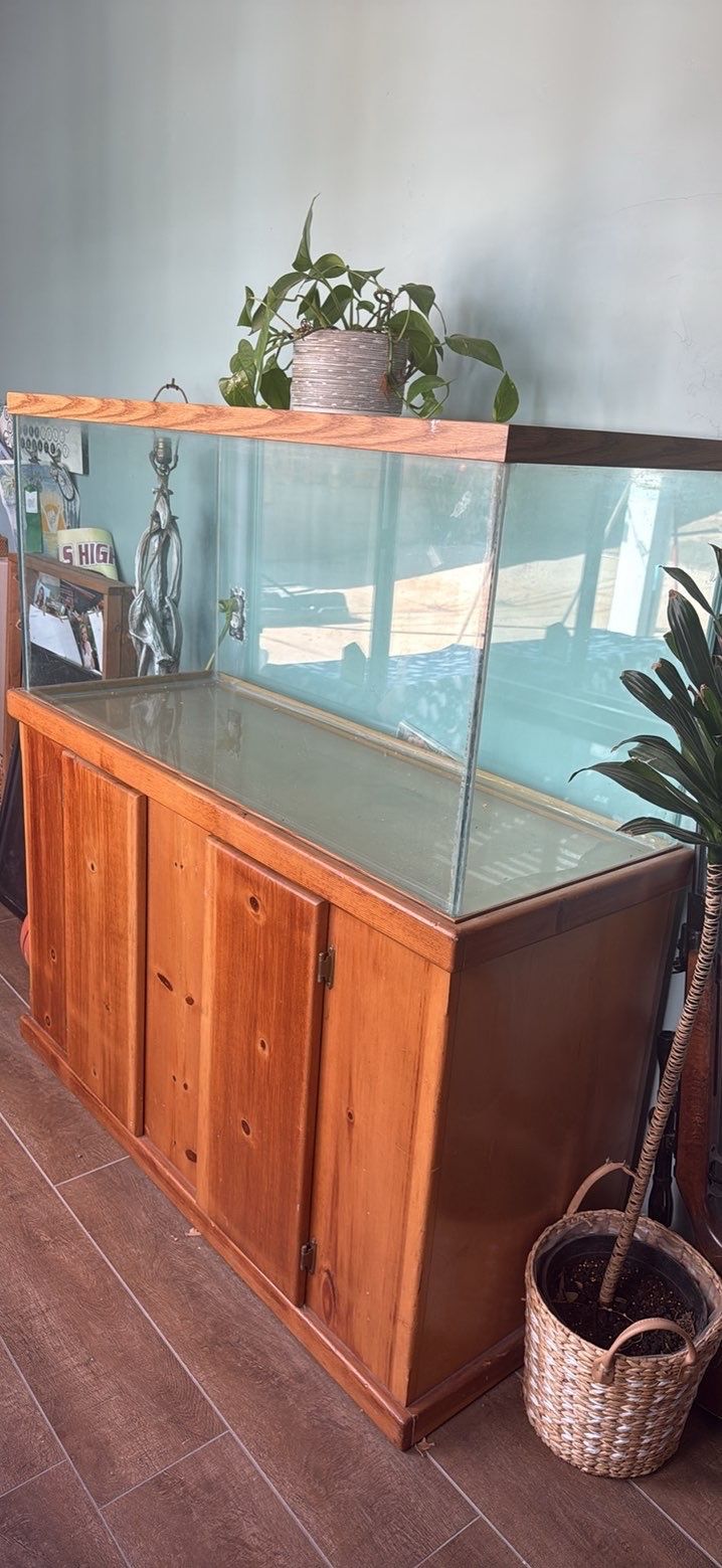 100 Gallon Fish tank & Brand New Filter