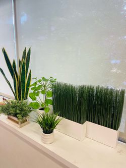 Faux Plants