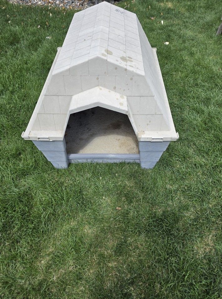 Dog House