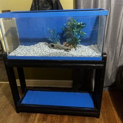 40 gal Fish Tank And Stand