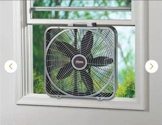 Fan