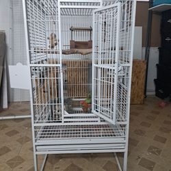 Bird cage 