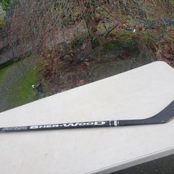 Sher-Wood Feather Glas Hockey Player Stick 