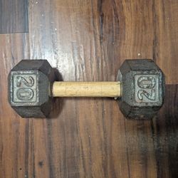 20LB Steel Dumbbell