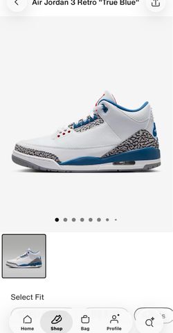 Retro 3 true blue