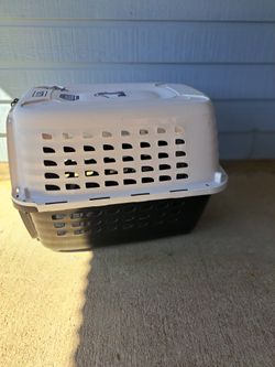 Petmate Compass Fashion Kennel Cat and Dog Kennel, Pearl White/Black, Made in USA