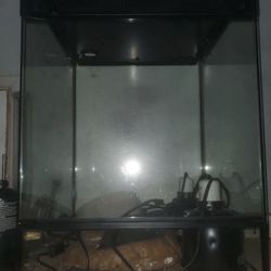 Reptile Tank