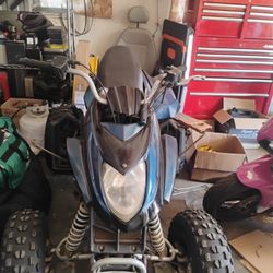 Arctic Cat Quad 250