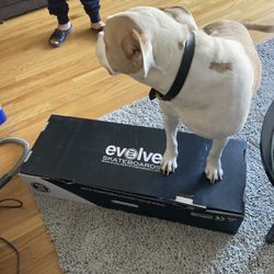 Evolve Skateboard