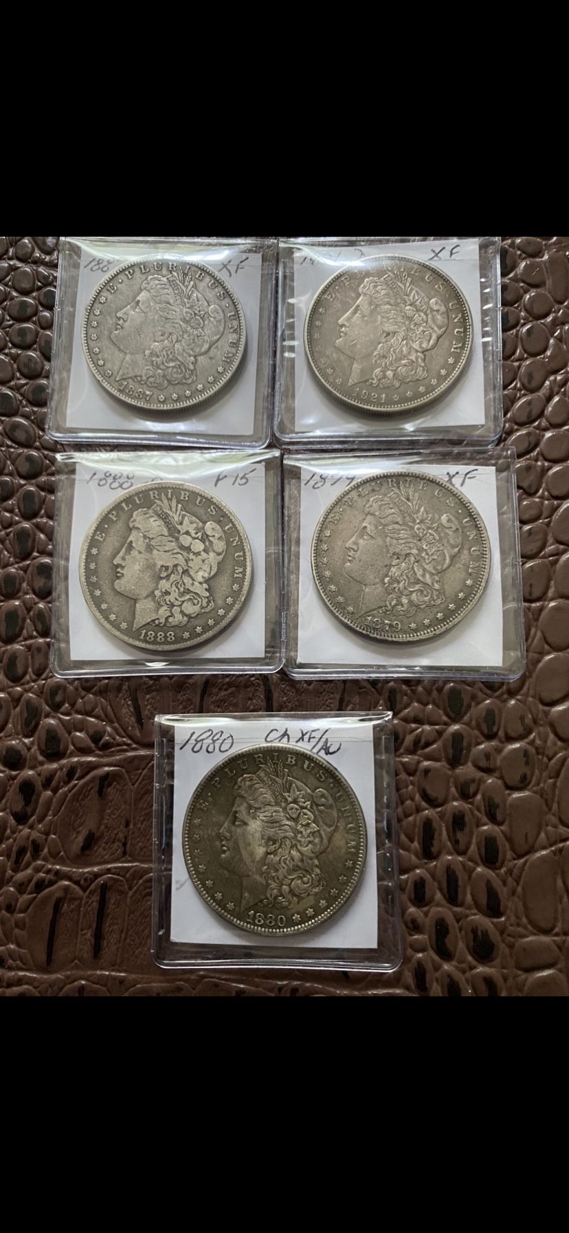 Morgan Silver Dollars