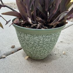 Wandering Jew