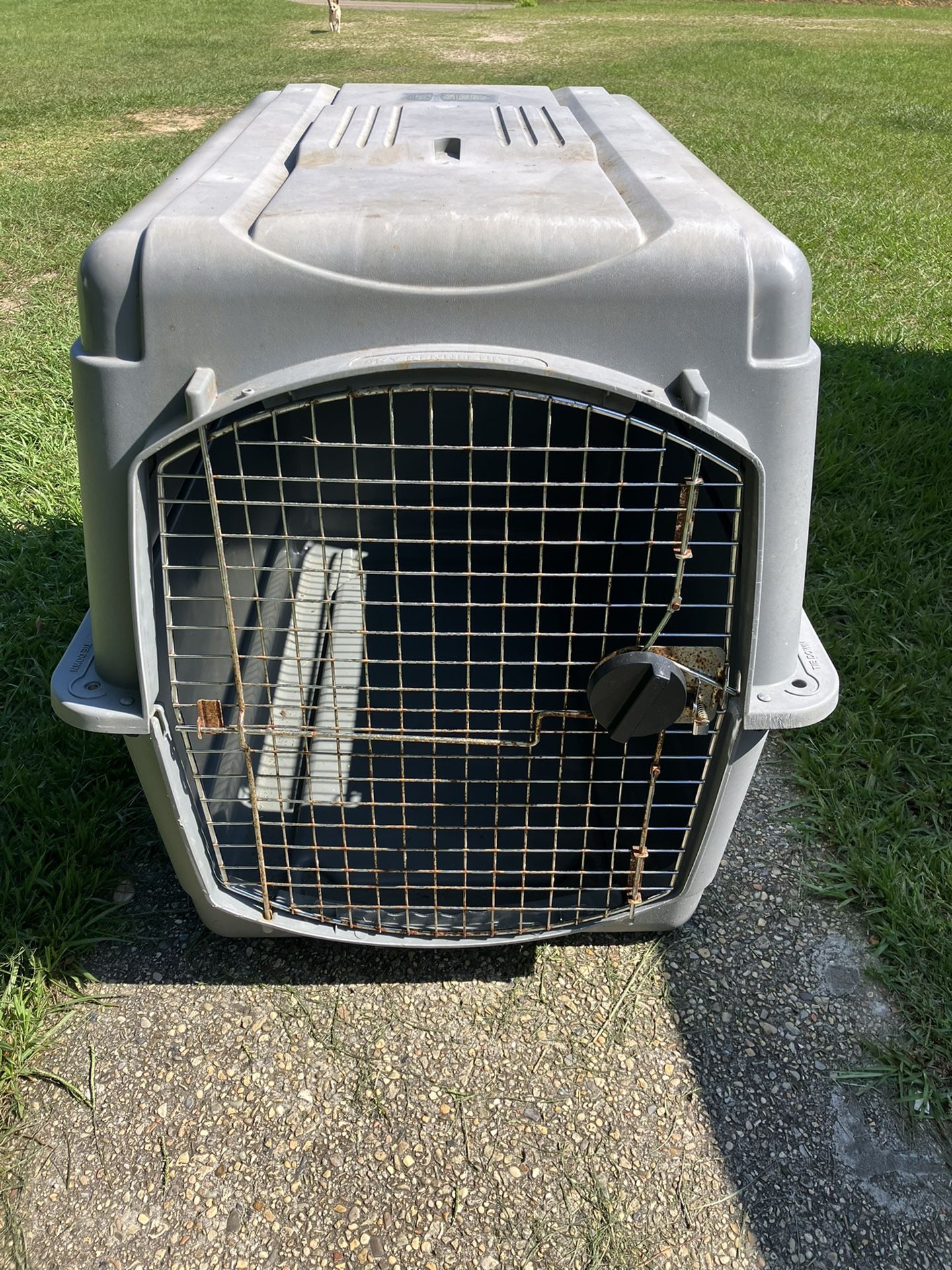 Huge Dog Kennel