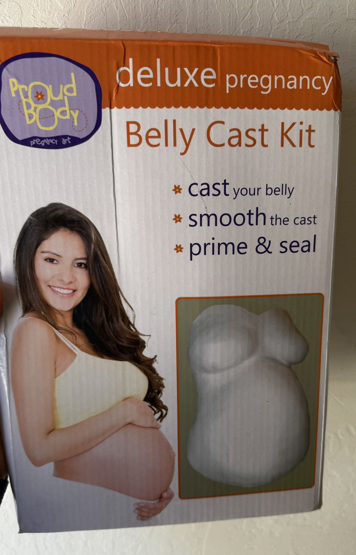 Pregnancy Belly Cast