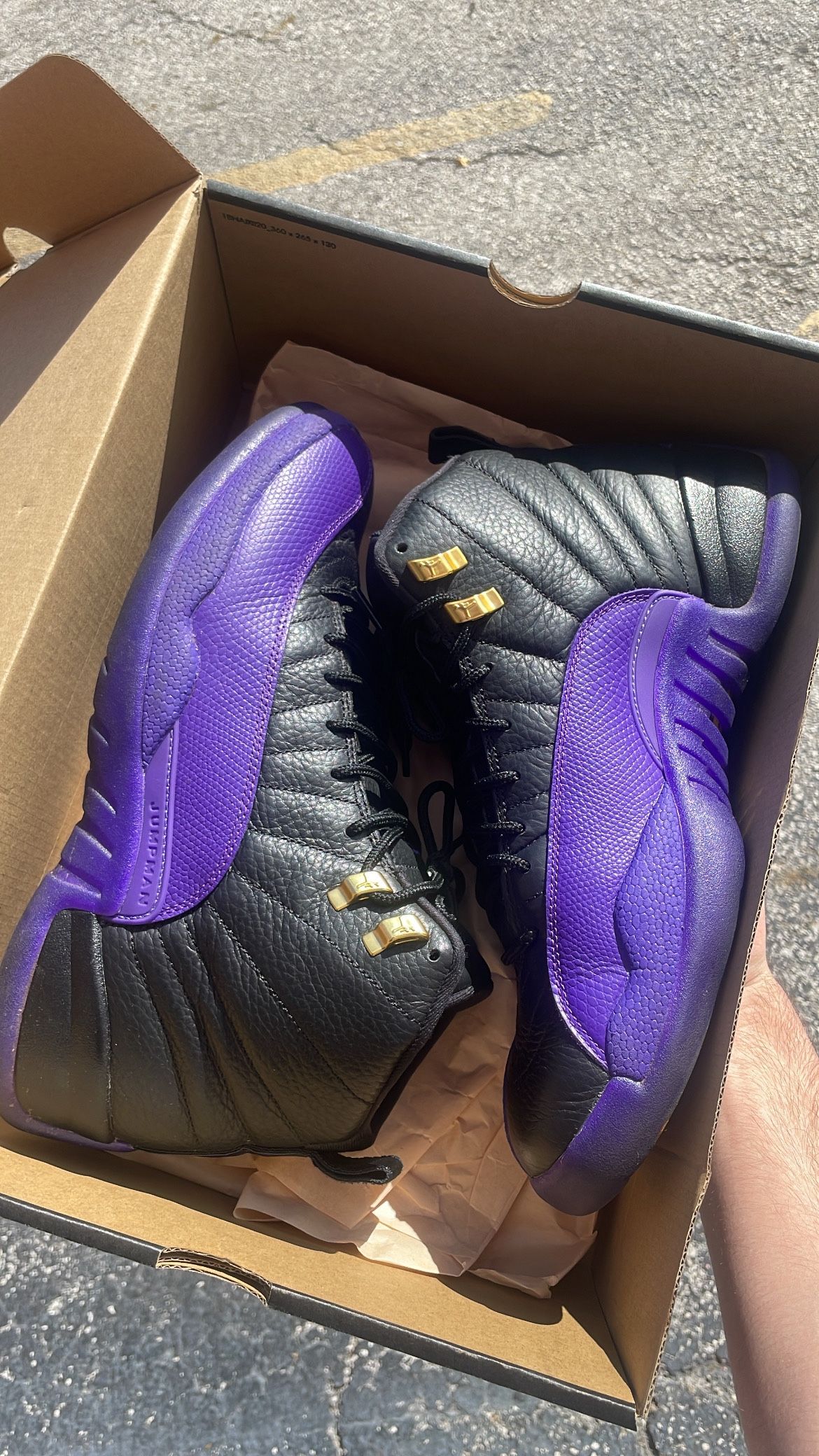 Jordan 12 Field Purple 