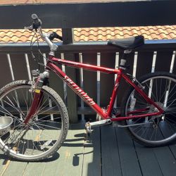 Specialized Expedition Bike