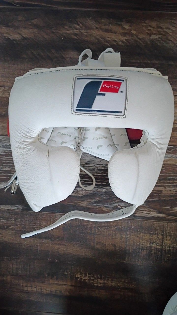 Fighting Headgear