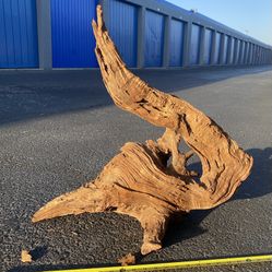 Unique Driftwood for Aquascaping & Decorative Driftwood for Crafts, Events & Planters-$8/lb