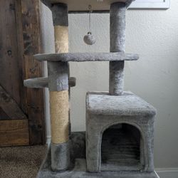Cat Scratch Tree 