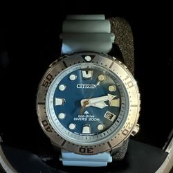 Citizen Promaster Woman’s BRAND NEW