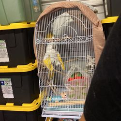Brand New Large Bird Cage