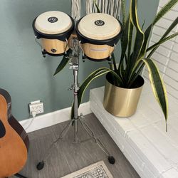 LP Bongo With Heavy Double Brace Bongo Stand