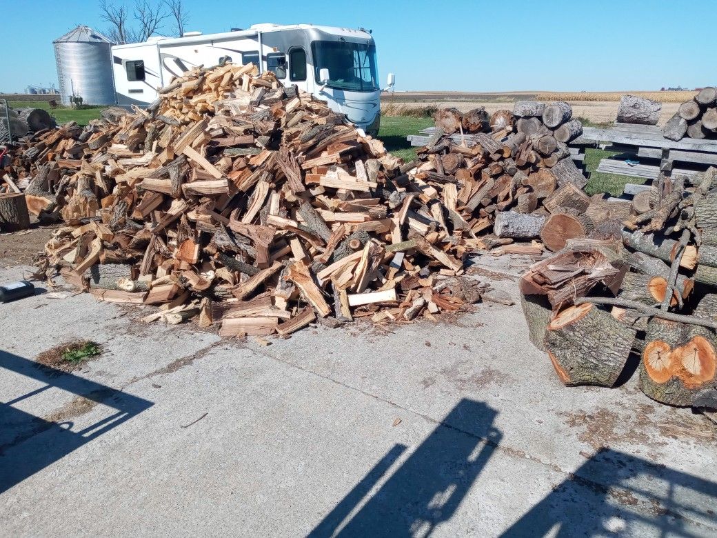 Firewood