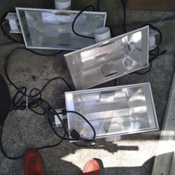 Grow Light's 