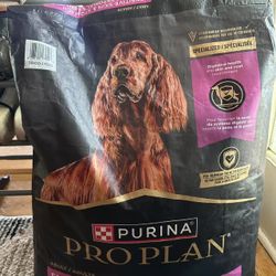 Dog Food