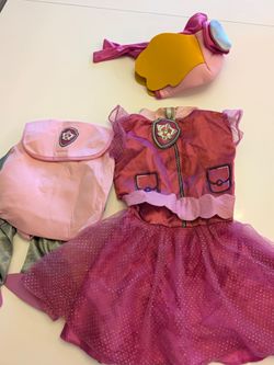 Paw Patrol Skye Costume 2T-3T