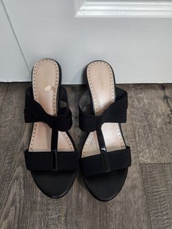 Charles by Charles David Woman's Size 10 Wedge Platform Sandals