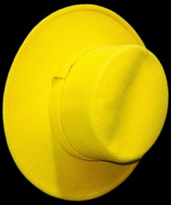 Classic Wide brim fedora style hat