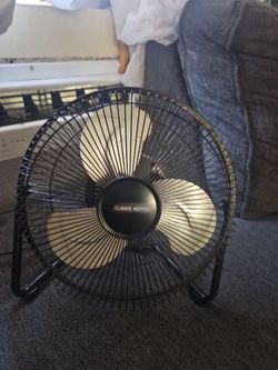 Fan