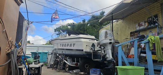 Trophy  Boat